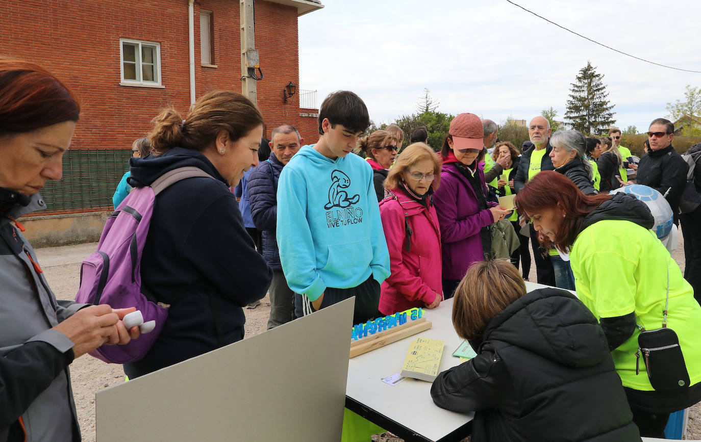 La Marcha Aspanis de Palencia, en imágenes