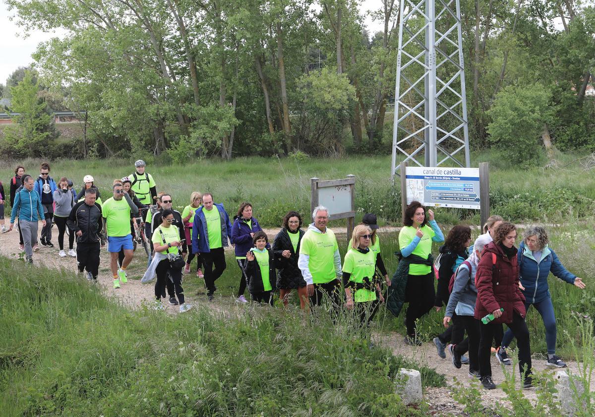 La Marcha Aspanis de Palencia, en imágenes