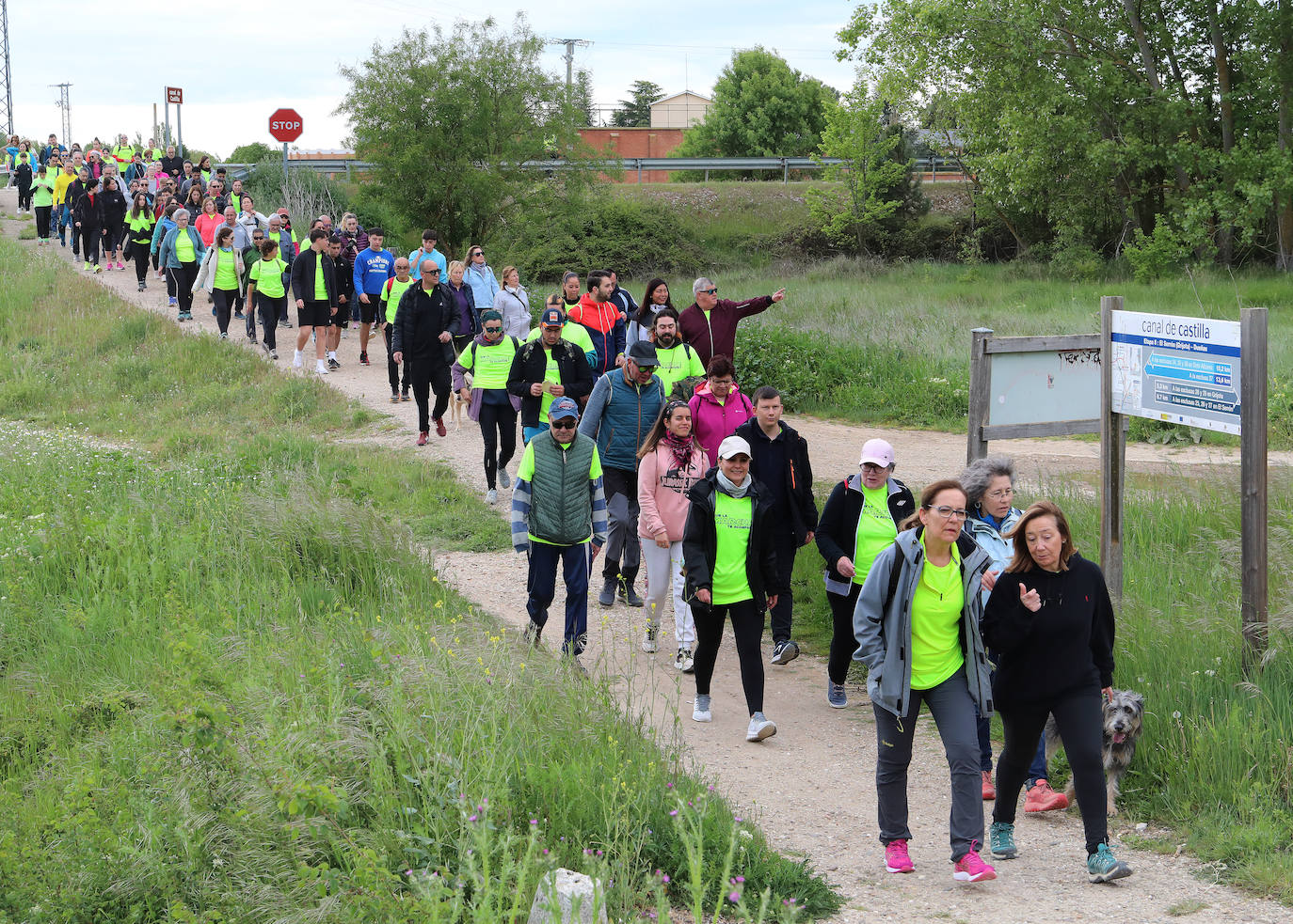 La Marcha Aspanis de Palencia, en imágenes