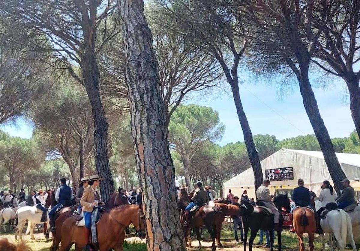 Ambiente en la XIII Feria Flamenca de Íscar