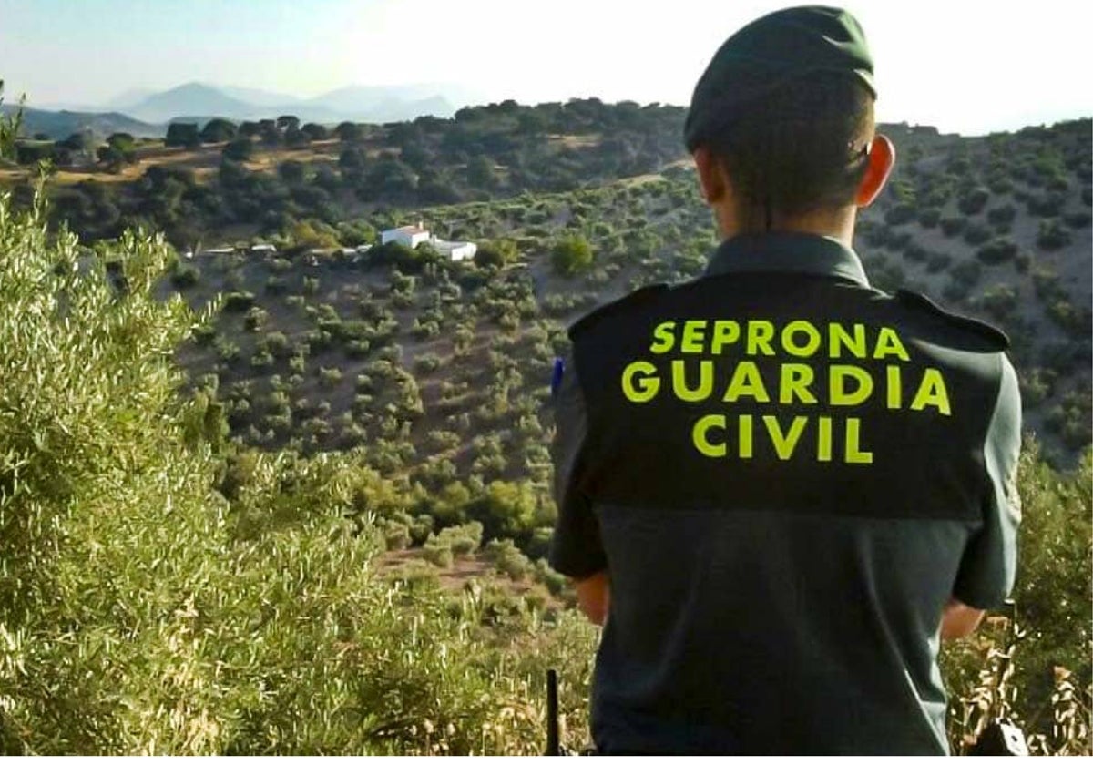 Seprona de la Guardia Civil