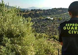 Seprona de la Guardia Civil