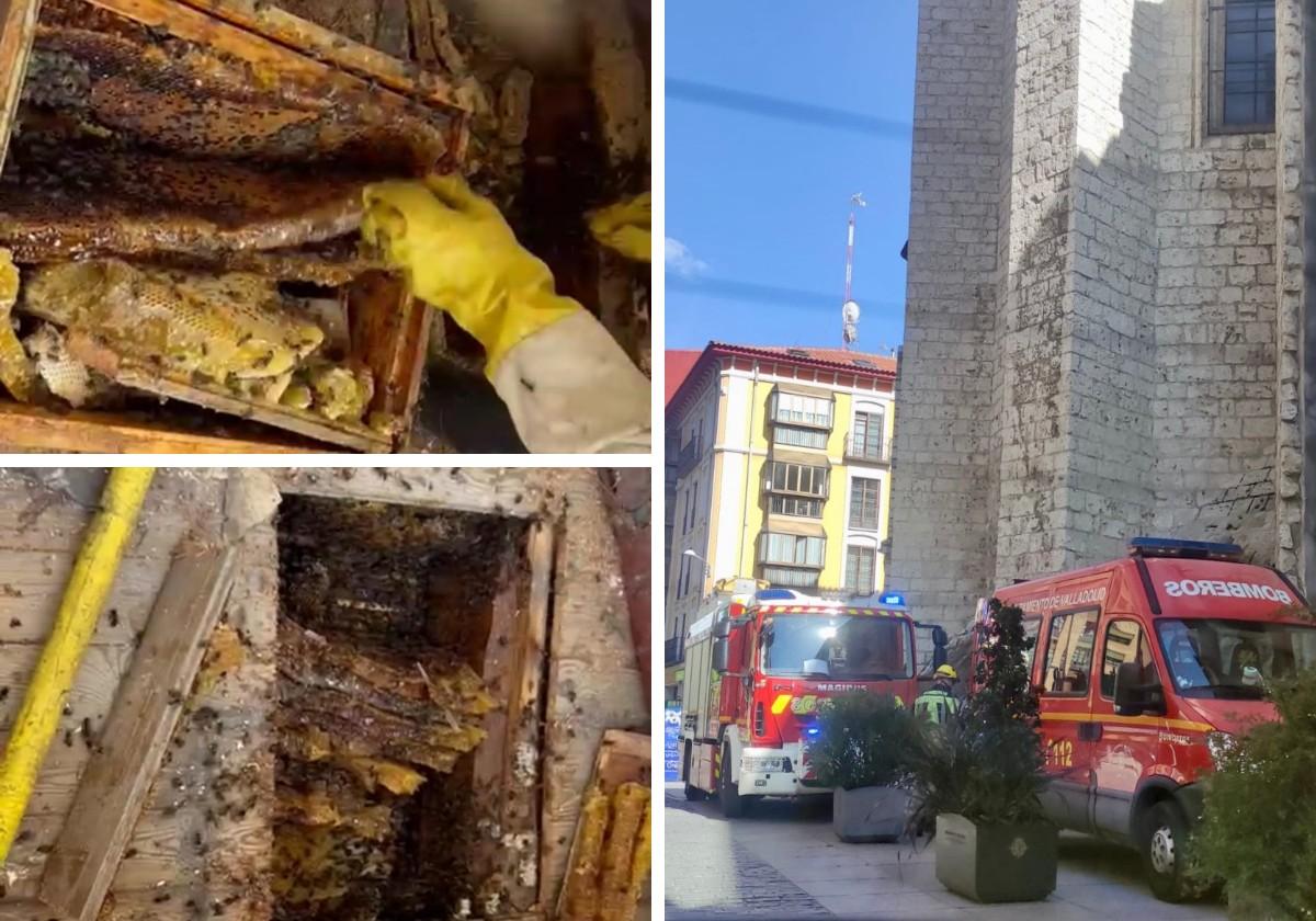 Retiran un enjambre de un edificio abandonado en el centro de Valladolid