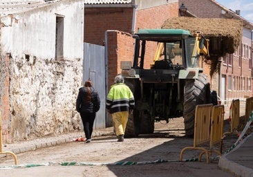 Vivir entre ratas, ovejas con sarna y amenazas: «Le vemos sacar animales muertos»