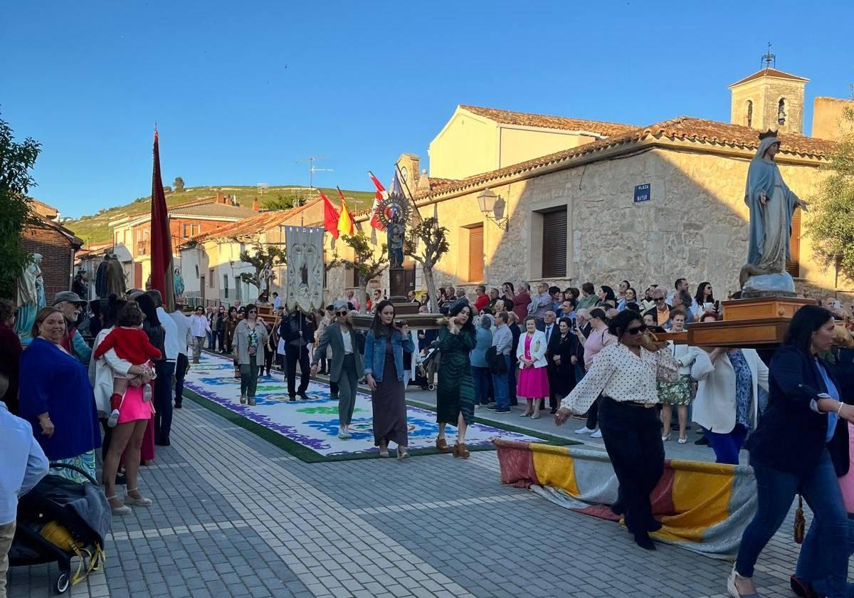 Los 17 santos procesionaron por encima de la alfombra floral y del estandarte