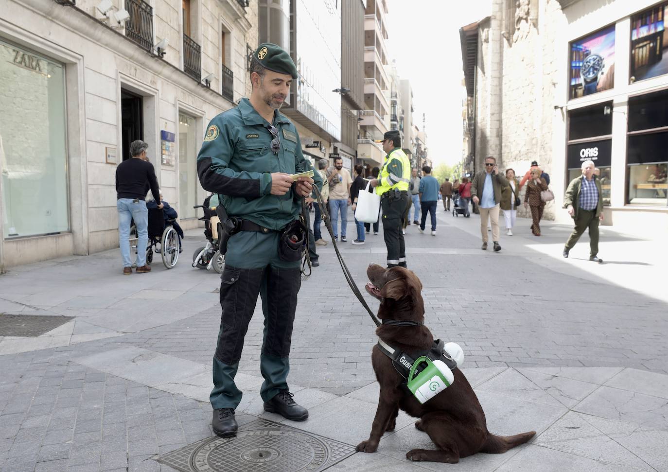 La cuestación contra el cáncer en Valladolid, en imágenes