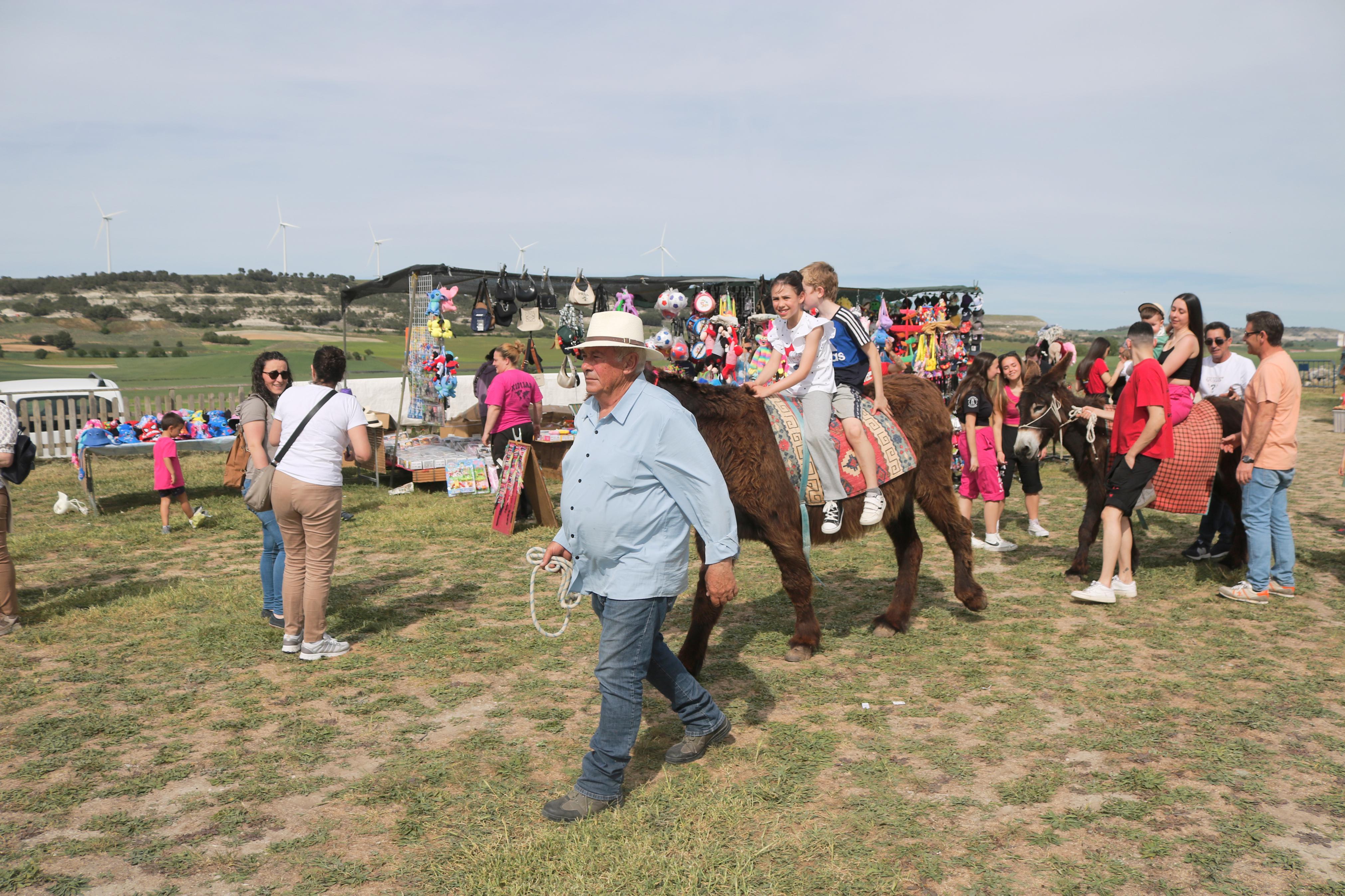 Romería en honor a San Gregorio en Baltanás