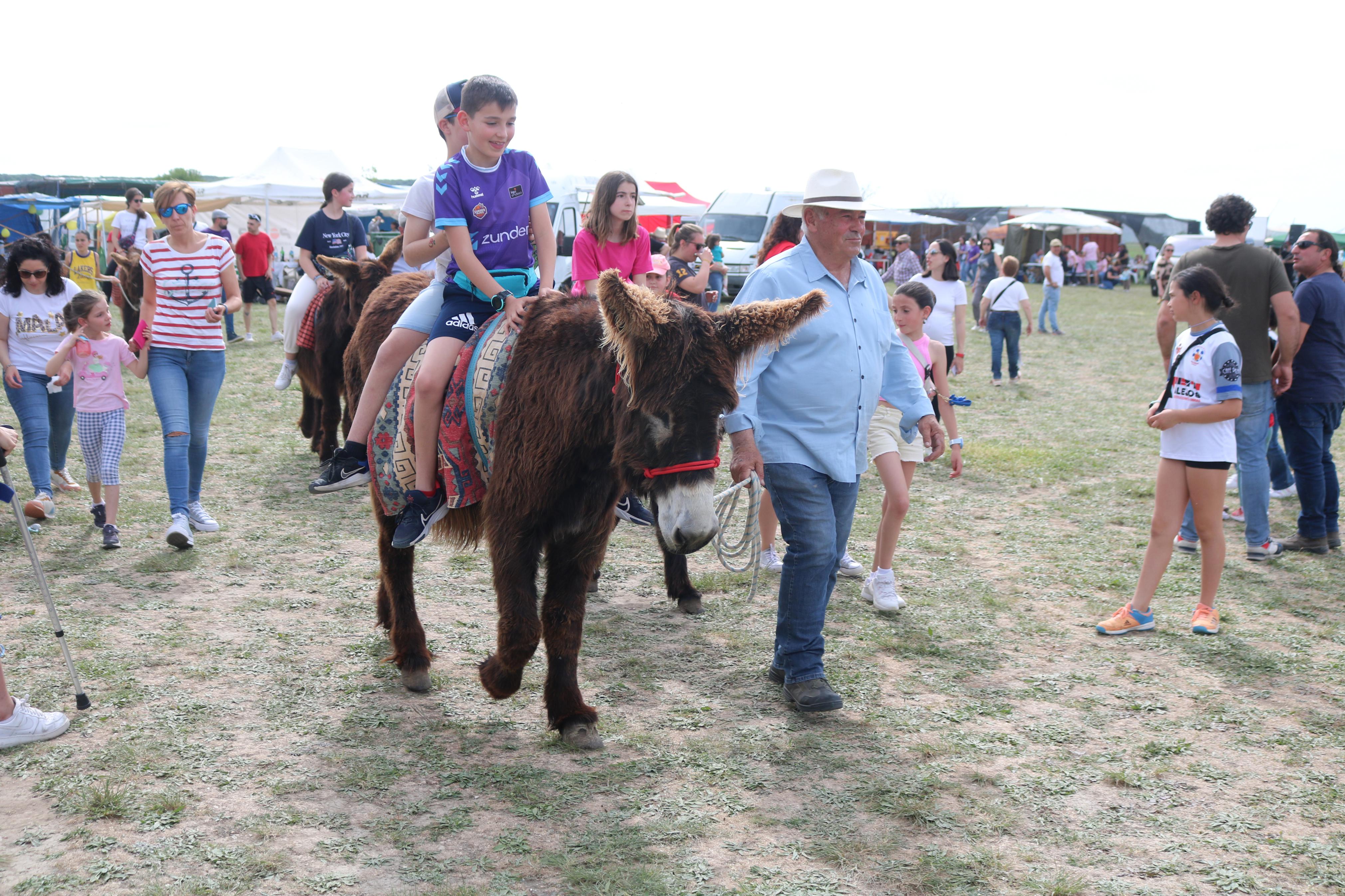 Romería en honor a San Gregorio en Baltanás