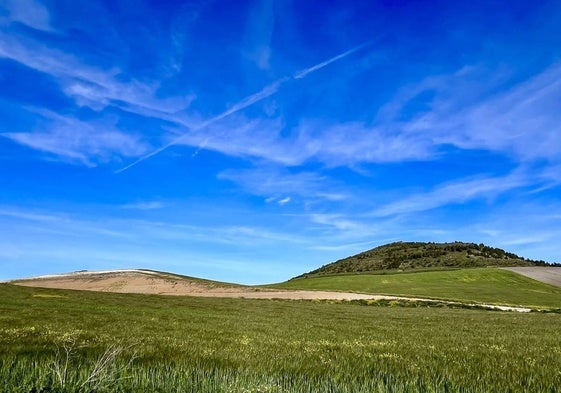 Imagen del terreno ondulado entre Tudela de Duero y Villabáñez.