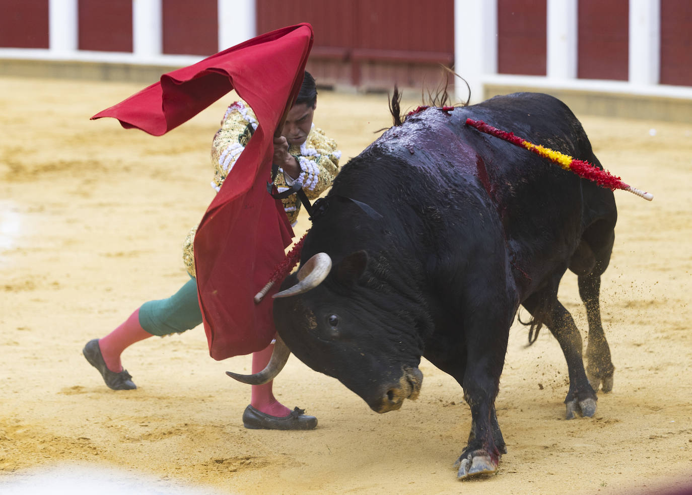 Un recorrido en imágenes de la novillada en la plaza de Toros