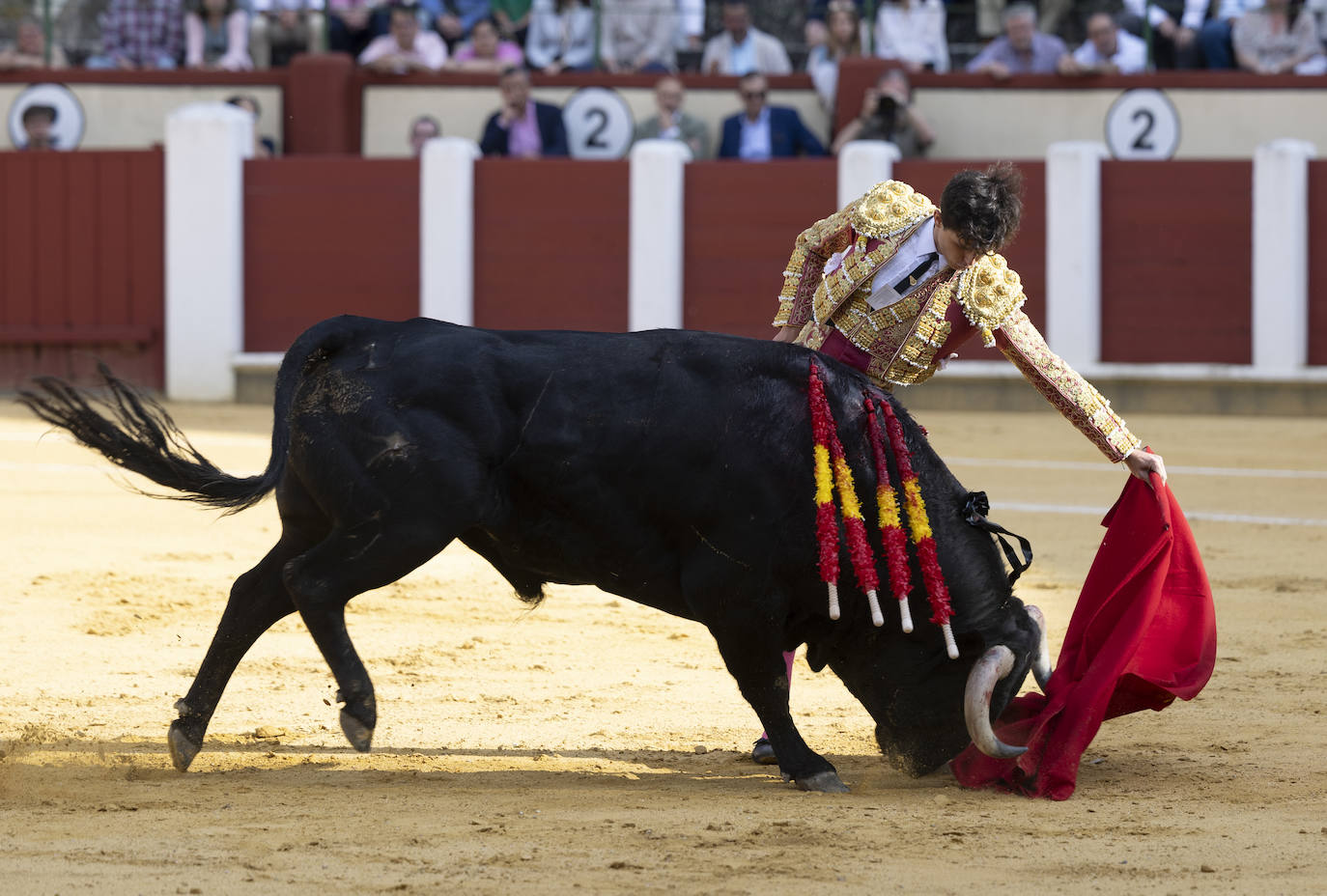 Un recorrido en imágenes de la novillada en la plaza de Toros