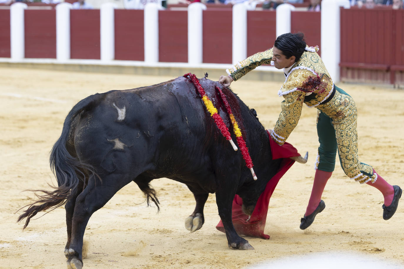 Un recorrido en imágenes de la novillada en la plaza de Toros