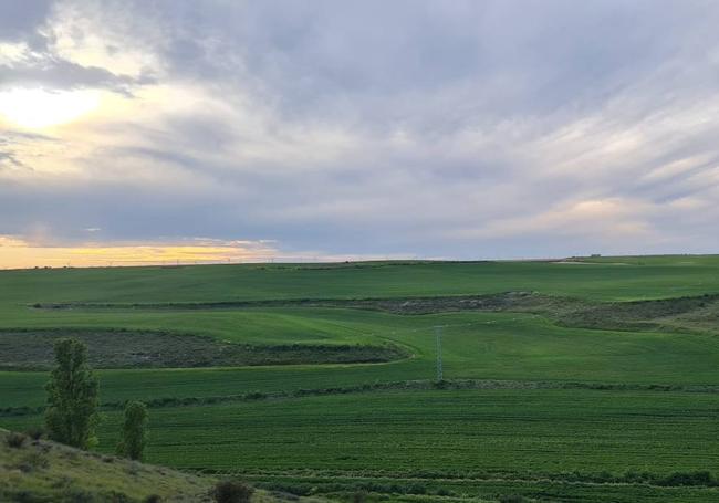 Campo, al anochecer, en Villanubla.