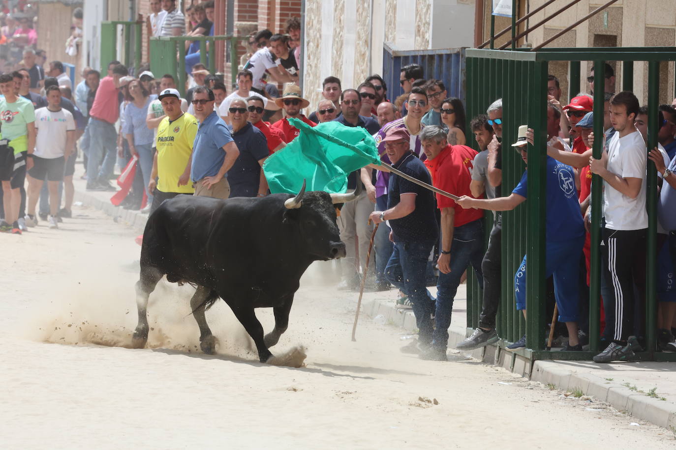 Primer encierro en Valdestillas con mucho público y ningún incidente