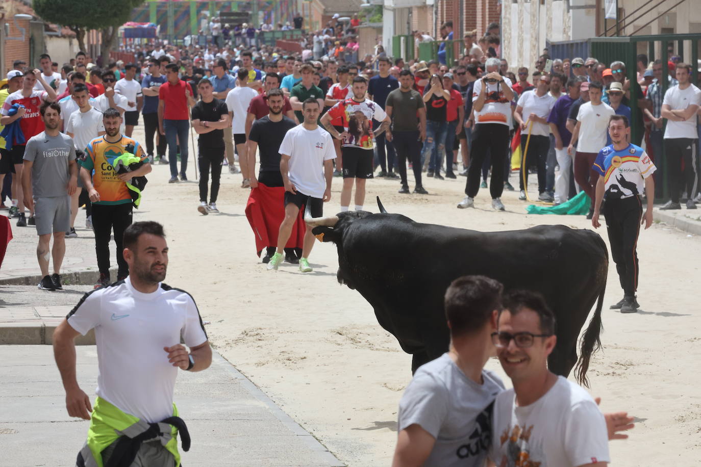 Primer encierro en Valdestillas con mucho público y ningún incidente