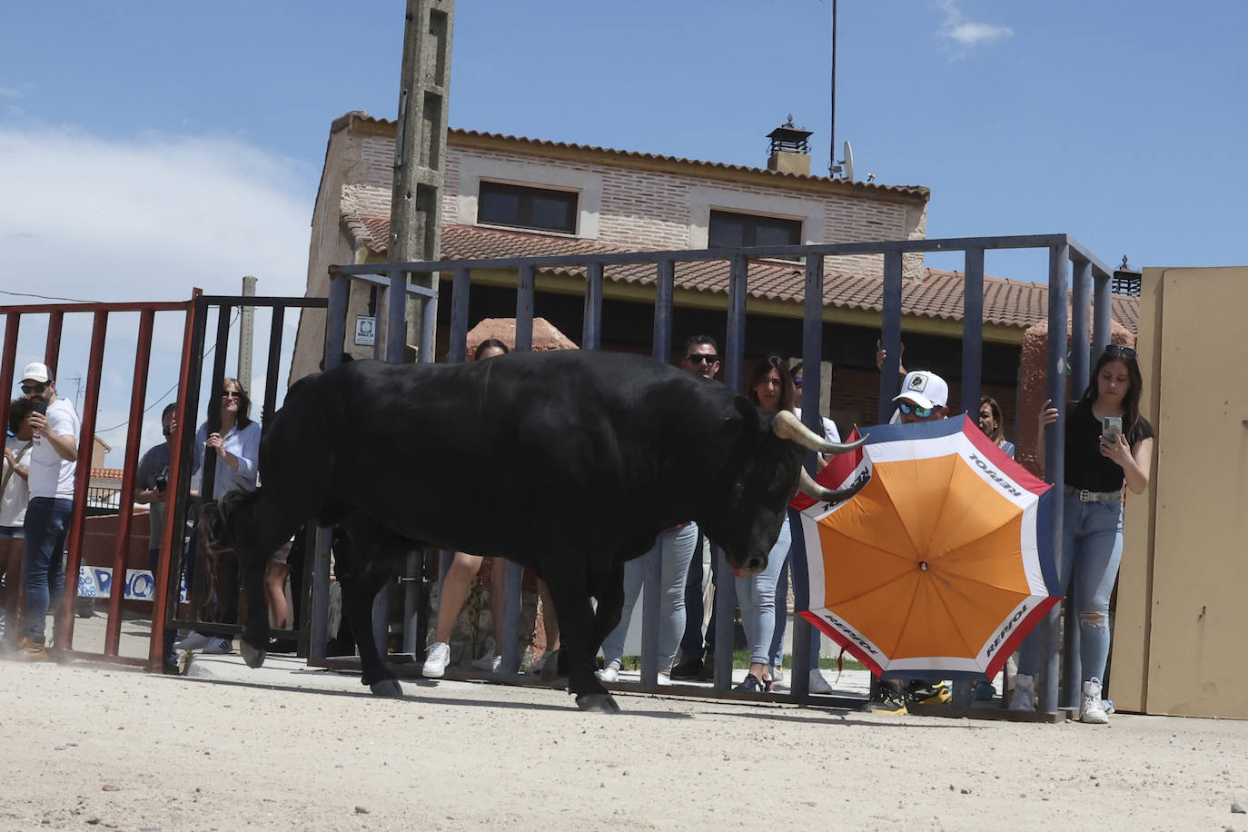 Primer encierro en Valdestillas con mucho público y ningún incidente