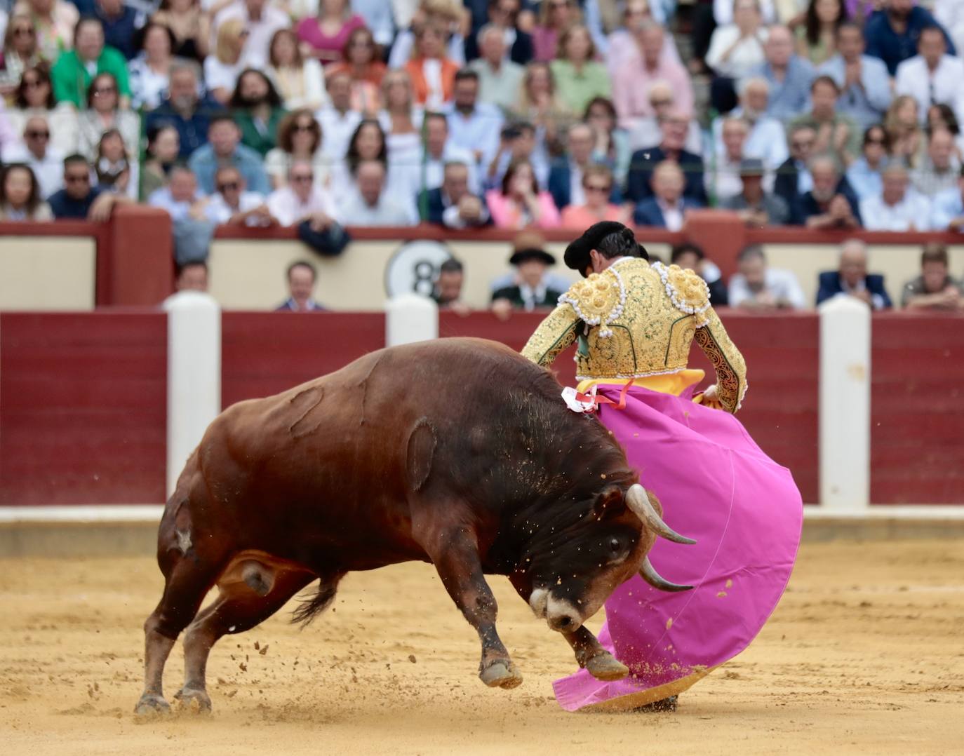 Las imágenes de la corrida de toros de San Pedro Regalado