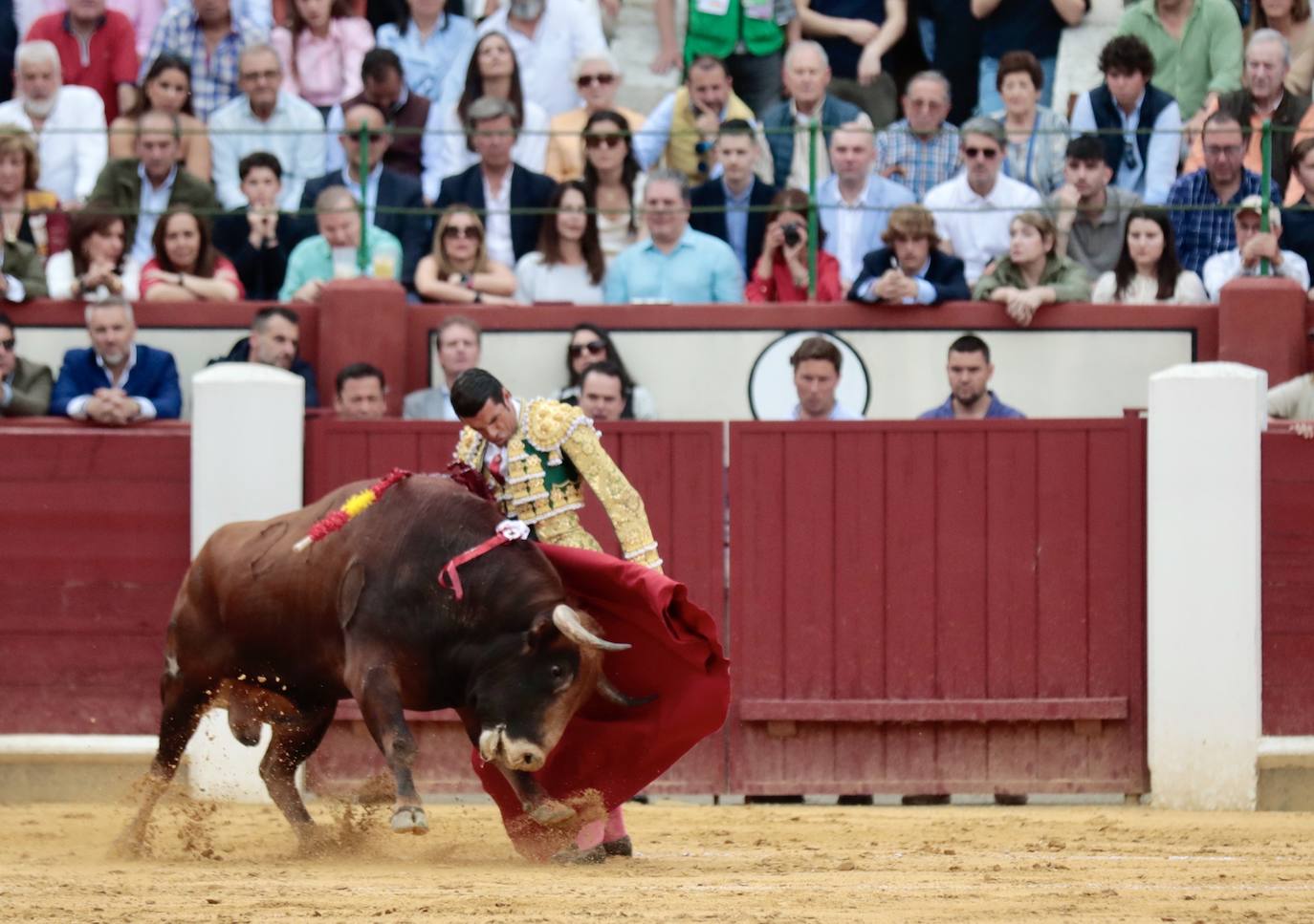 Las imágenes de la corrida de toros de San Pedro Regalado