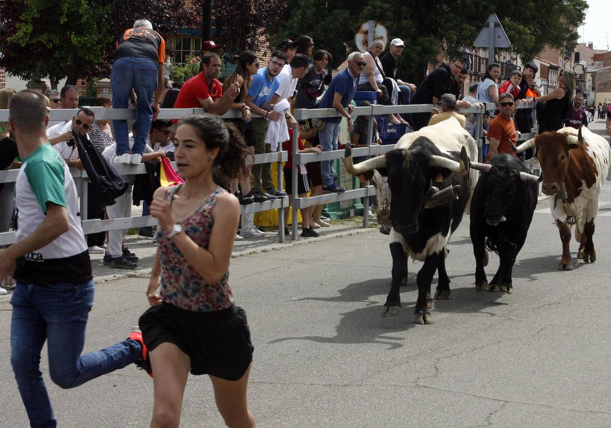 Festejo taurino celebrado este fin de semana en Laguna de Duero.