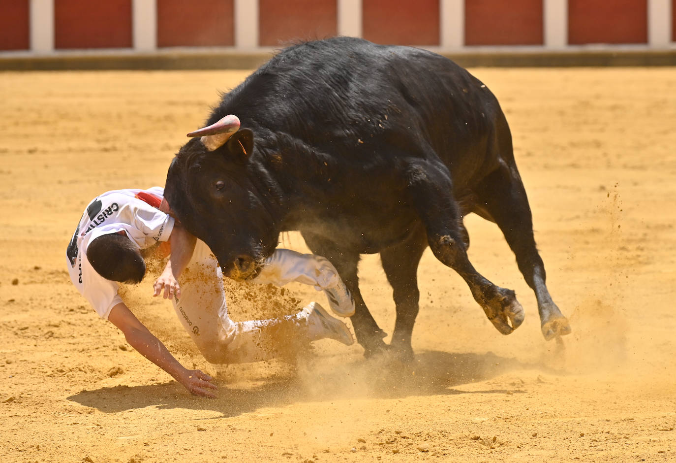 Concurso de cortes de San Pedro Regalado en Valladolid (1/2)