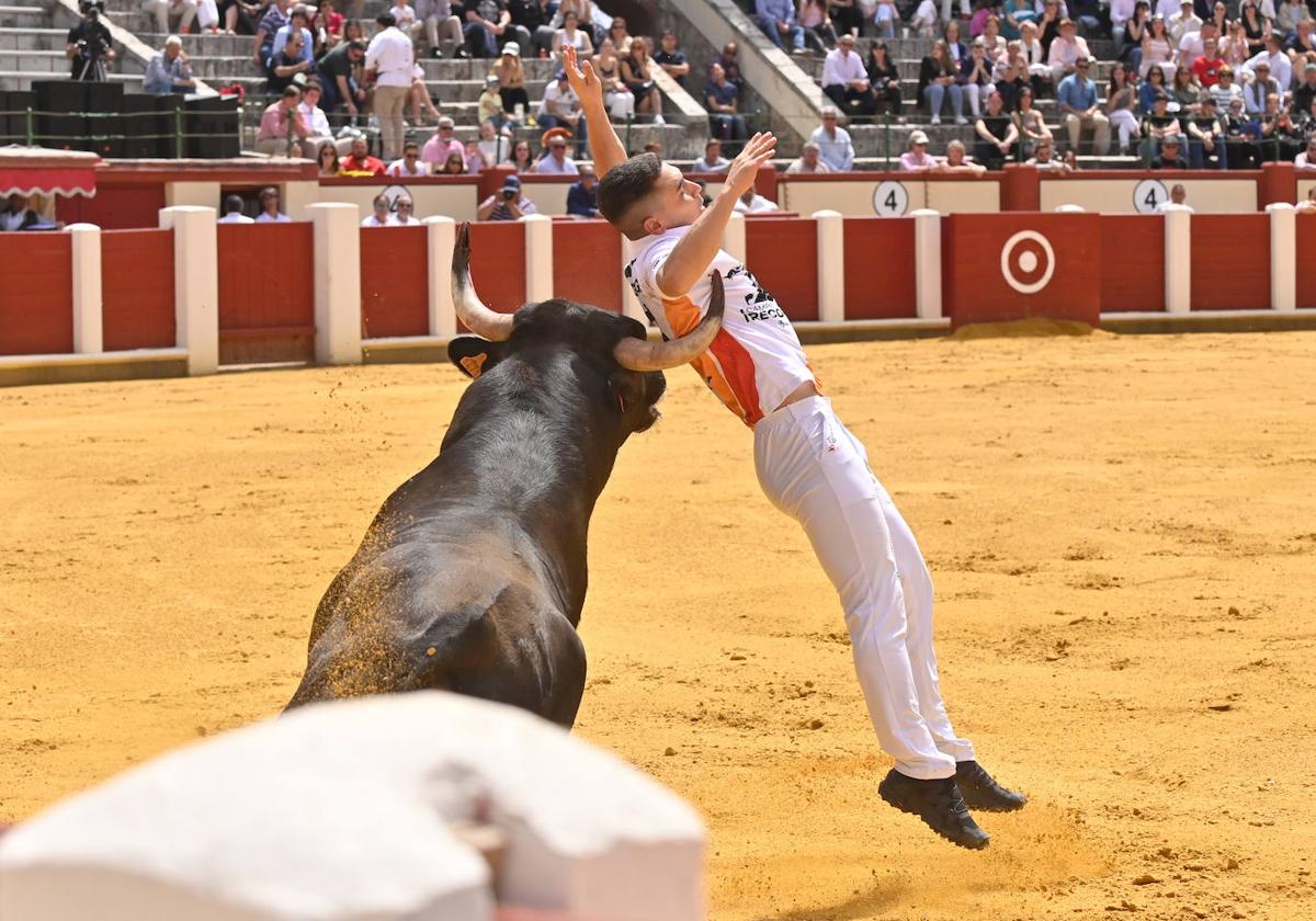 Concurso de cortes de San Pedro Regalado en Valladolid (1/2)