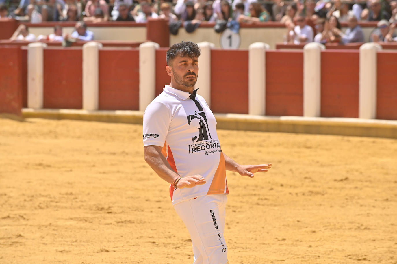 Concurso de cortes de San Pedro Regalado en Valladolid (1/2)