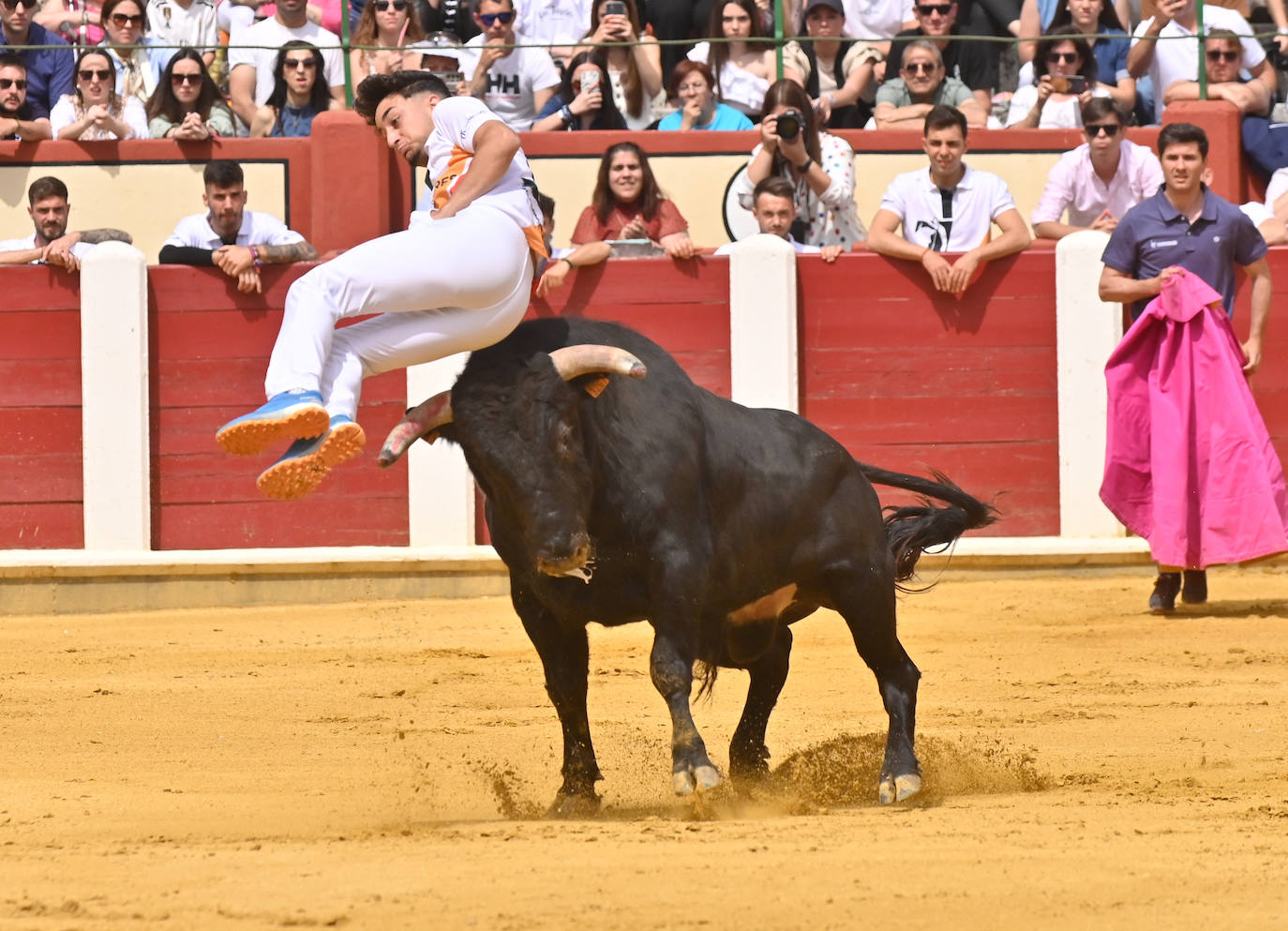 Concurso de cortes de San Pedro Regalado en Valladolid (2/2)