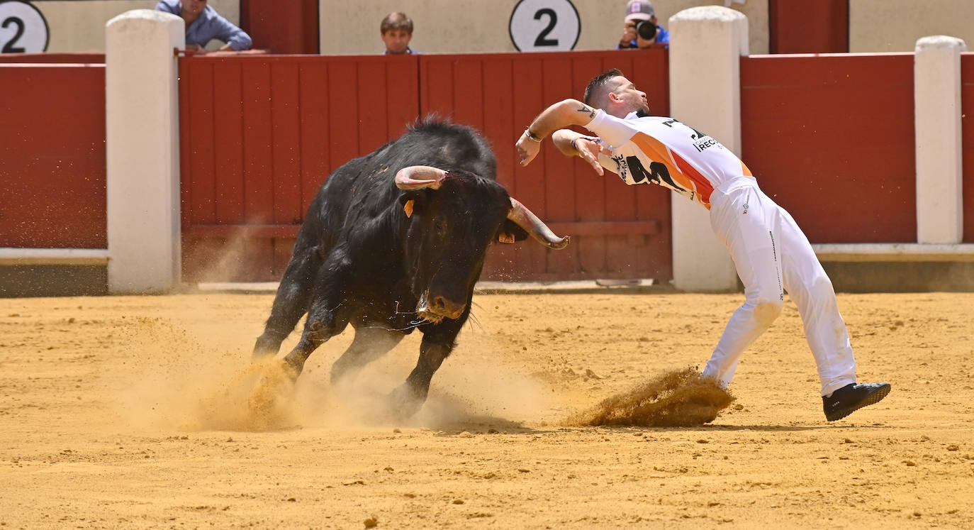 Concurso de cortes de San Pedro Regalado en Valladolid (2/2)