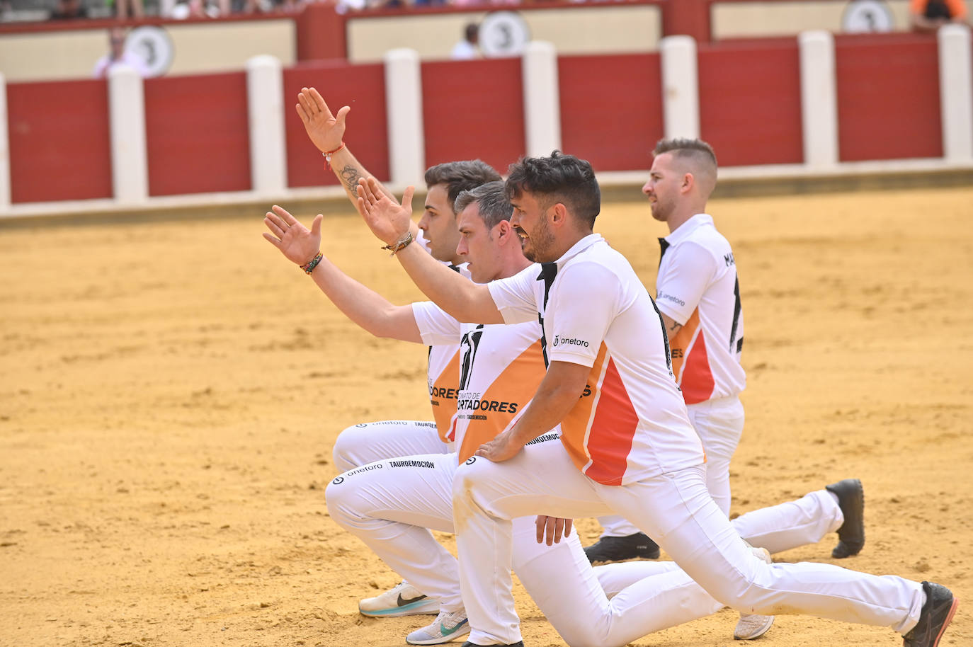 Concurso de cortes de San Pedro Regalado en Valladolid (2/2)