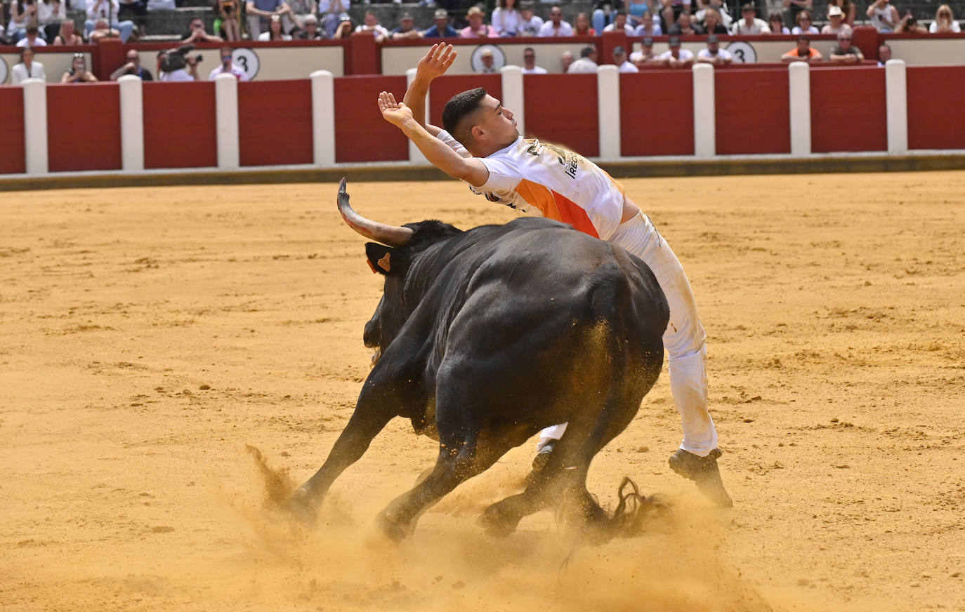 Concurso de cortes de San Pedro Regalado en Valladolid (2/2)