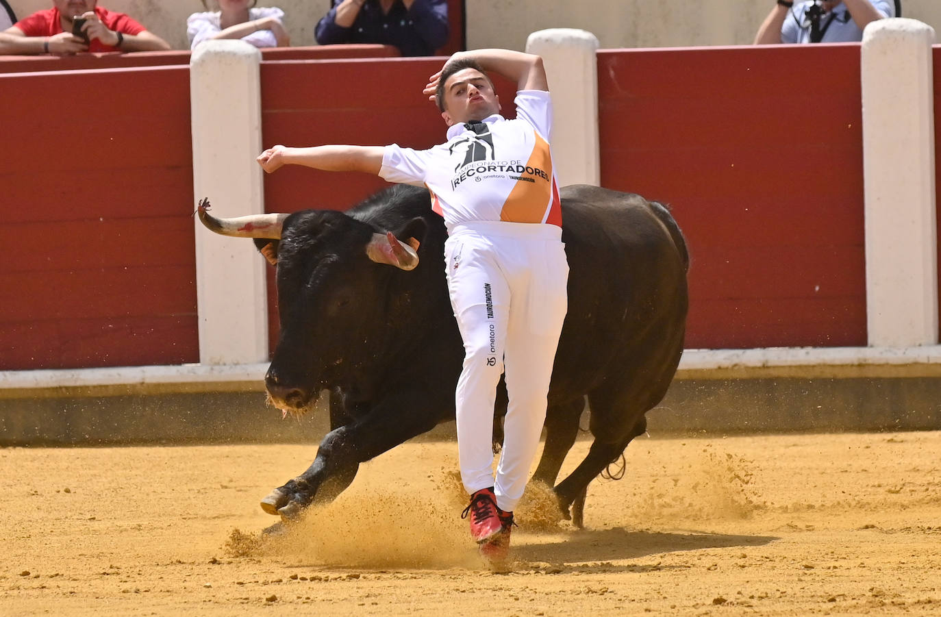 Concurso de cortes de San Pedro Regalado en Valladolid (2/2)