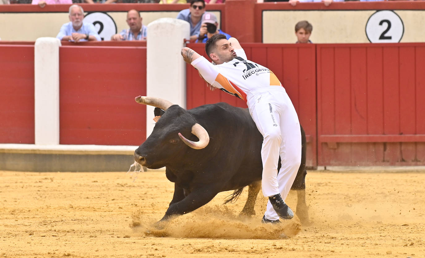 Concurso de cortes de San Pedro Regalado en Valladolid (2/2)