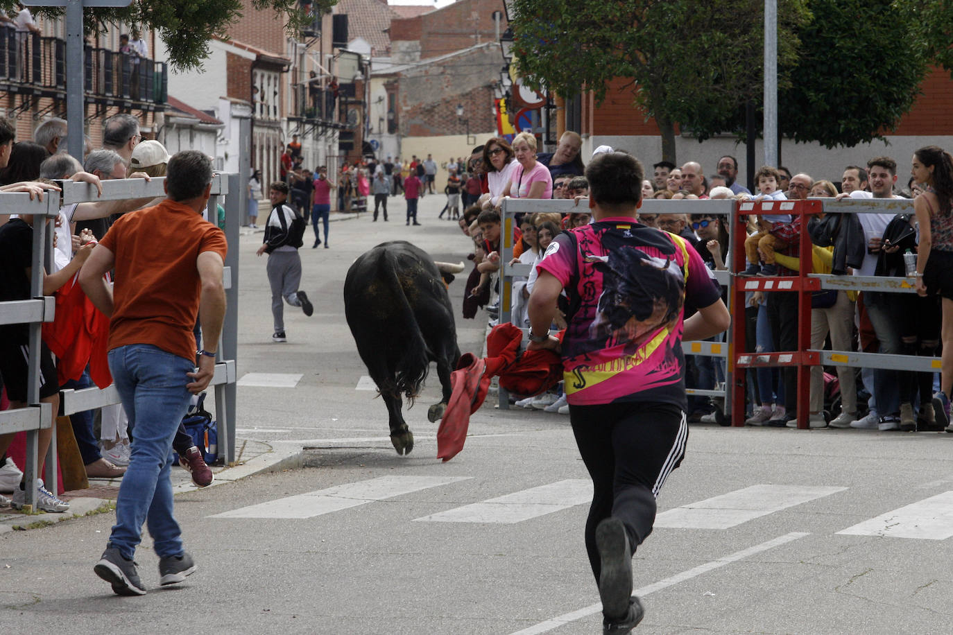 Encierro matinal del domingo en Laguna de Duero