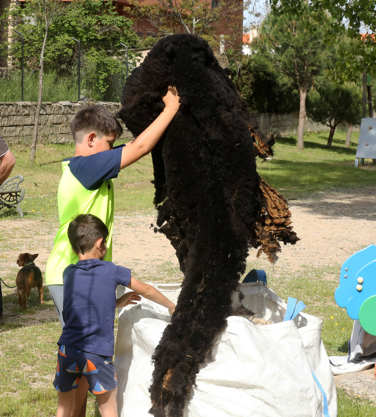 La Feria del Esquileo en Trescasas