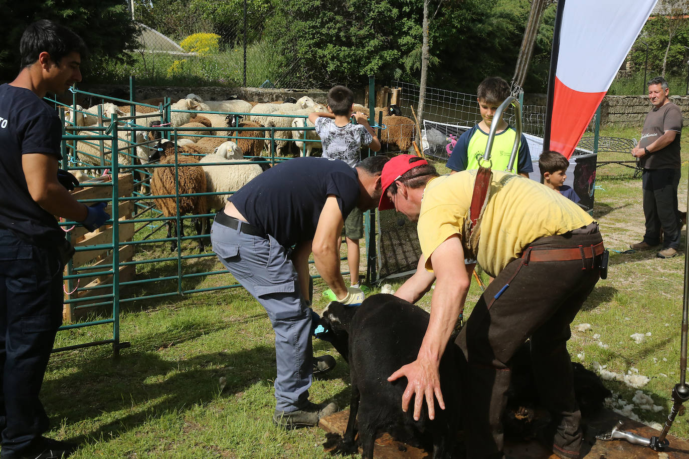 La Feria del Esquileo en Trescasas