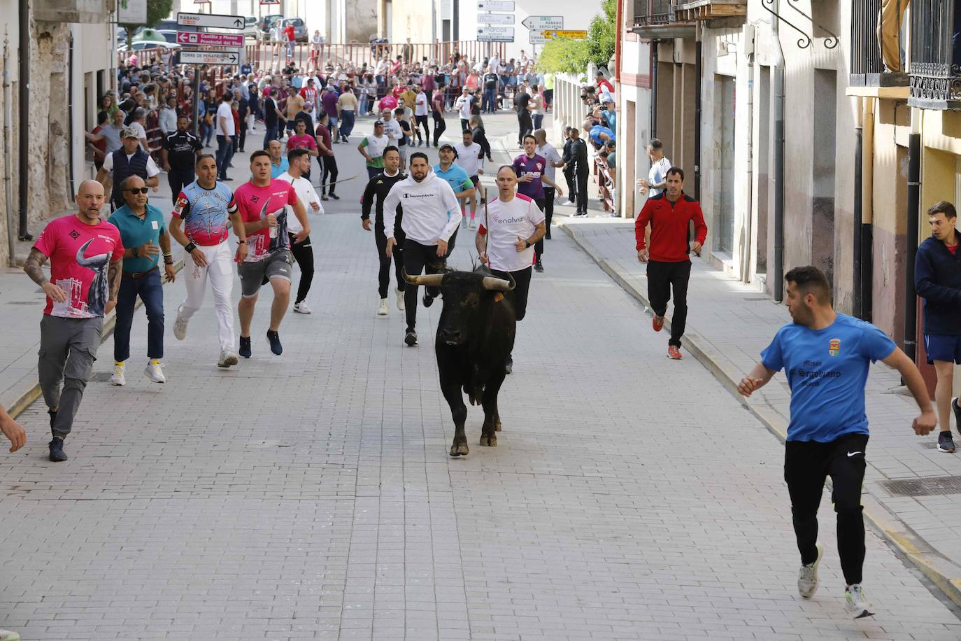 Encierro y capea del domingo por la mañana en Peñafiel