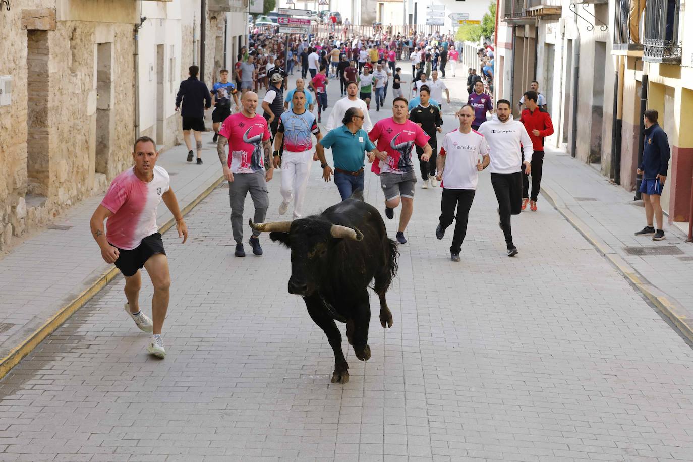 Encierro y capea del domingo por la mañana en Peñafiel