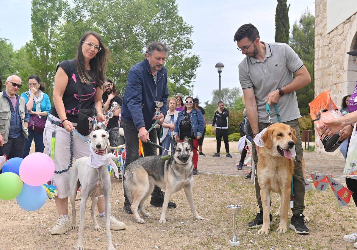 Varios de los perros participantes en el desfile, junto a sus dueños en San Isidro.