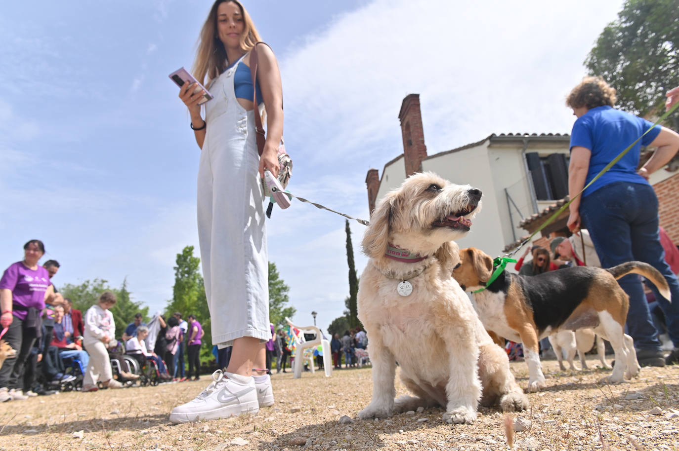 Desfile de mascotas en la ermita de San Isidro en Valladolid