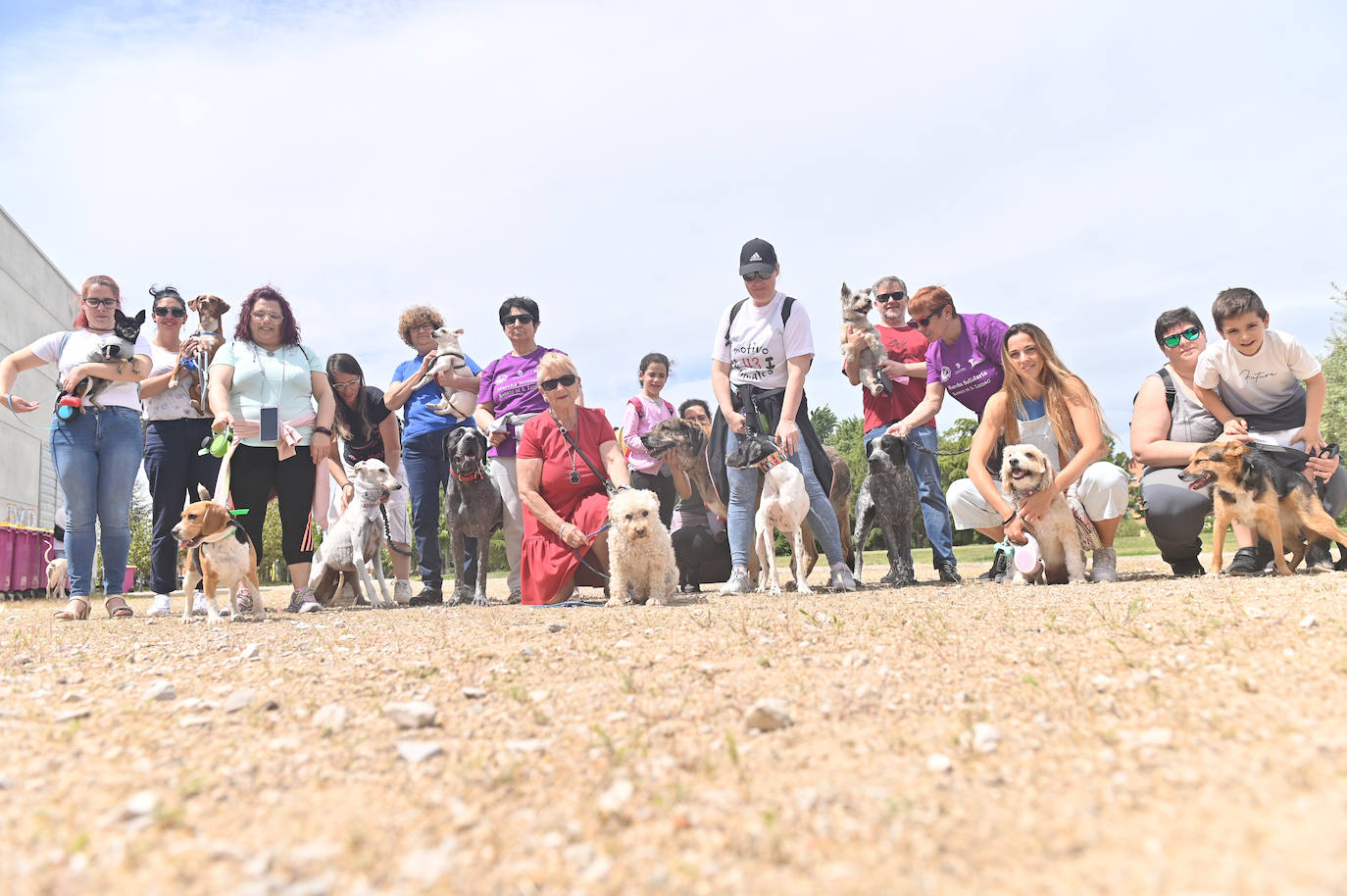 Desfile de mascotas en la ermita de San Isidro en Valladolid