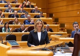 La portavoz del Partido Popular en el Senado, Alicia García Rodríguez, durante una sesión plenaria de ayer.