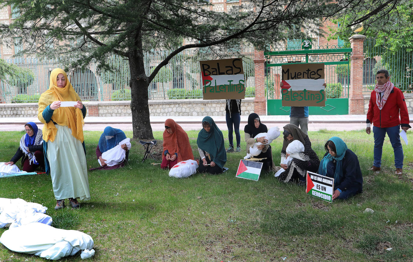 Amapolas contra las balas en Palestina