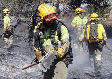 Solo diez de las veintitrés torres de vigilancia contra incendios están operativas