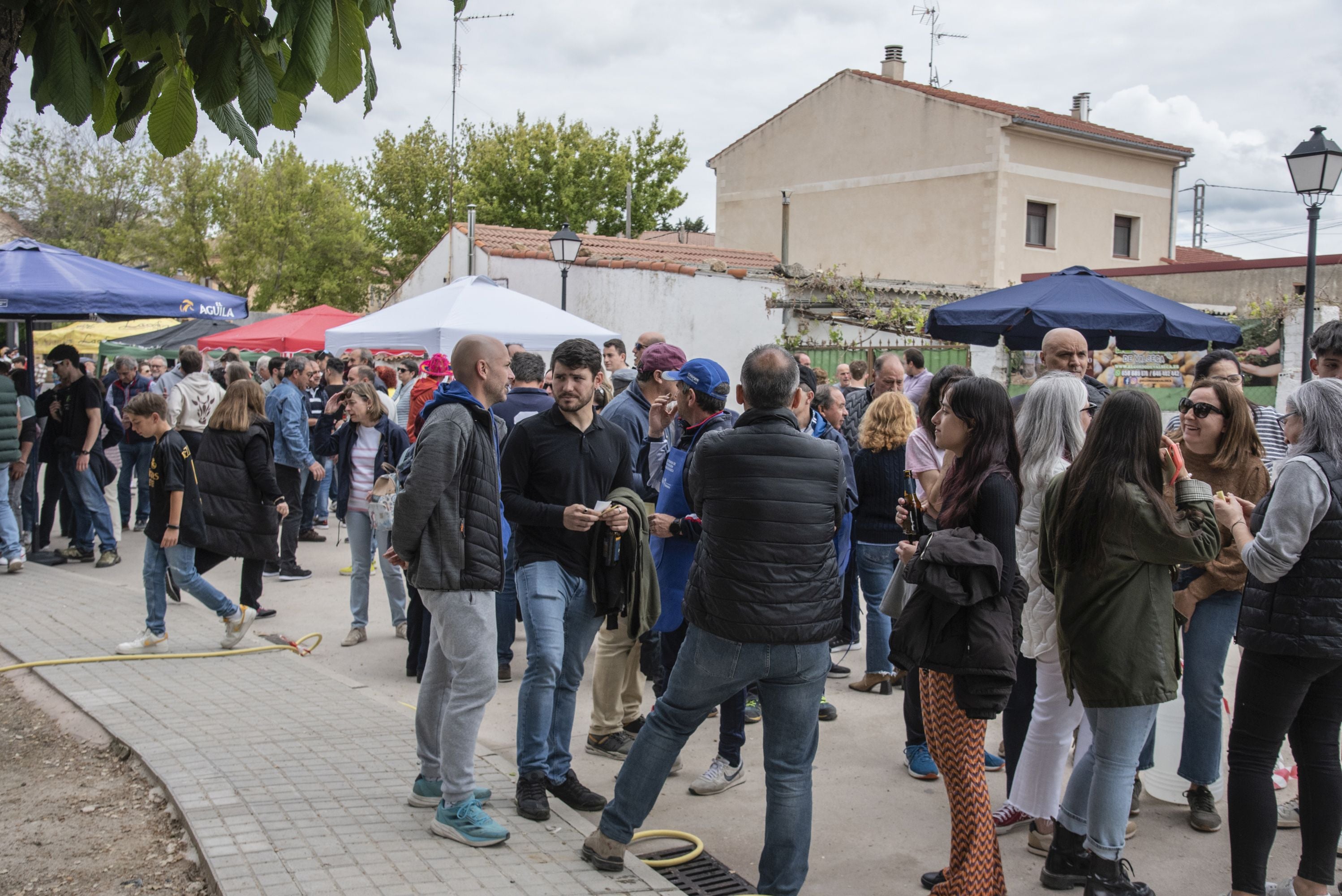 La Feria del Garbazo de Valseca, en imágenes