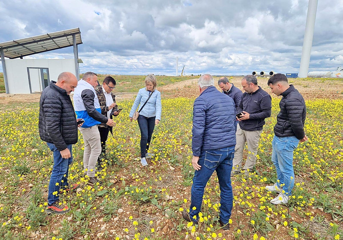 Jornadas de Formación en Turmicultura en Baltanás