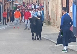 Un joven cita al toro, este sábado por la tarde en Pozaldez.