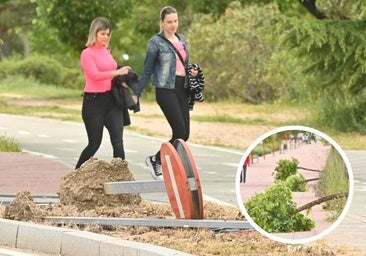 Rompen dos señales de tráfico y varios árboles en Villa de Prado