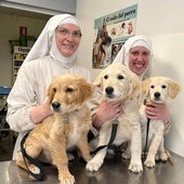 Denuncian a las monjas de Belorado por tener un criadero de perros sin licencias