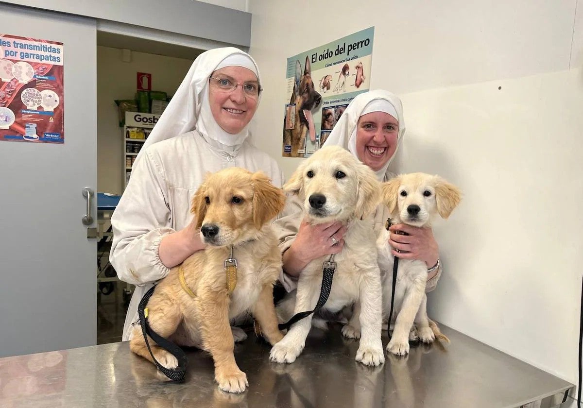 Imagen compartida en Proanbur de una de las monjas de Belorado con los perros del criadero.