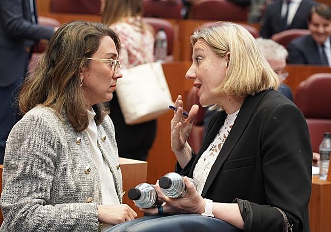 María González, consejera de Movilidad, charla con Isabel Blanco, consejera de Familia, antes de empezar el Pleno.